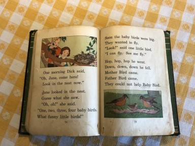 pages inside oldest Dick and Jane